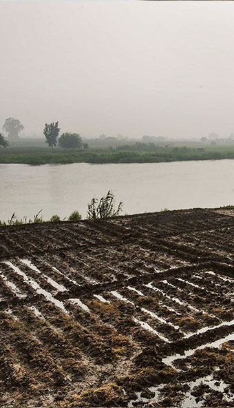 Rice field operation